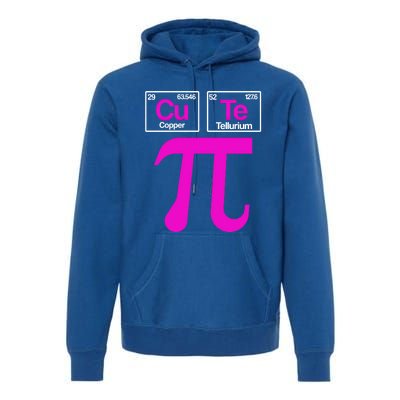 Cutie Pi Celebrate Pi Day March 14 Math And Science Lover Gift Premium Hoodie