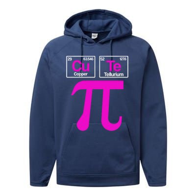 Cutie Pi Celebrate Pi Day March 14 Math And Science Lover Gift Performance Fleece Hoodie