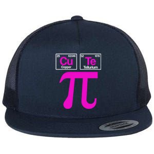 Cutie Pi Celebrate Pi Day March 14 Math And Science Lover Gift Flat Bill Trucker Hat