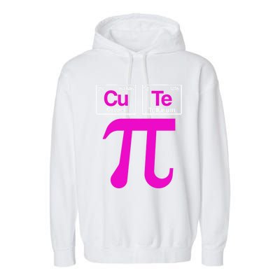 Cutie Pi Celebrate Pi Day March 14 Math And Science Lover Gift Garment-Dyed Fleece Hoodie