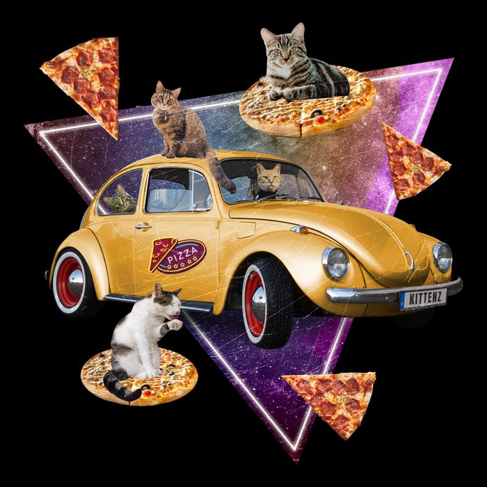Cat Pizza Car Galaxy T-Shirt