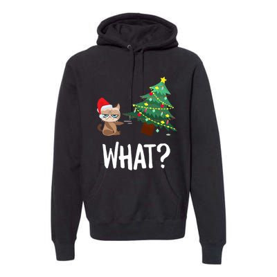 Cat Pushing Christmas Tree Over Funny What Cat Christmas Premium Hoodie