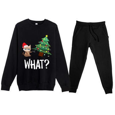 Cat Pushing Christmas Tree Over Funny What Cat Christmas Premium Crewneck Sweatsuit Set