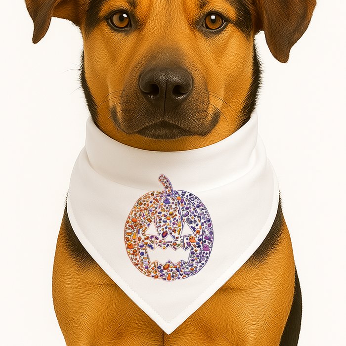 Candy Pumpkin USA-Made Doggie Bandana