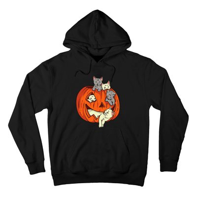 Cats Pumpkin Carved Jack O Lantern Cat Halloween Costume Hoodie