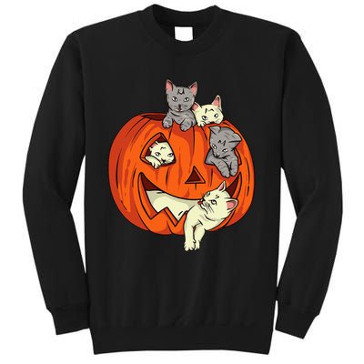 Cats Pumpkin Carved Jack O Lantern Cat Halloween Costume Sweatshirt