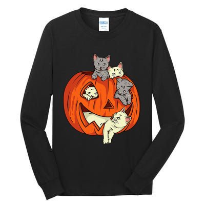 Cats Pumpkin Carved Jack O Lantern Cat Halloween Costume Tall Long Sleeve T-Shirt