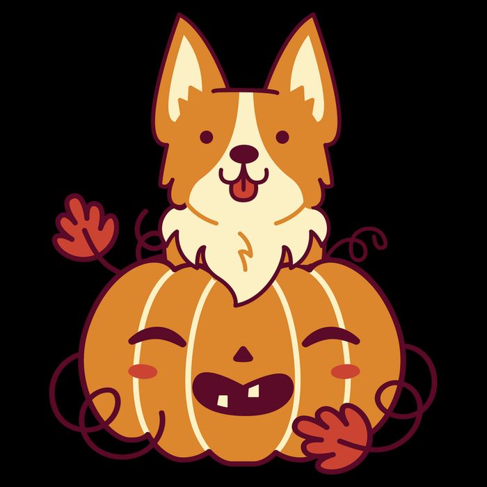 Cute Pumpkin Corgi Dog Halloween Button