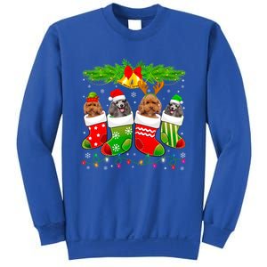 Cute Poodle Dog In Sock Christmas Santa Xmas Dog Gift Sweatshirt