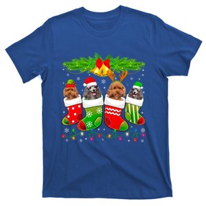 Cute Poodle Dog In Sock Christmas Santa Xmas Dog Gift T-Shirt