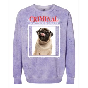 Custom Photo Dog Criminal For Stealing My Sandwich Colorblast Crewneck Sweatshirt