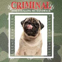 Custom Photo Dog Criminal For Stealing My Sandwich Legacy Tie Dye Trucker Hat