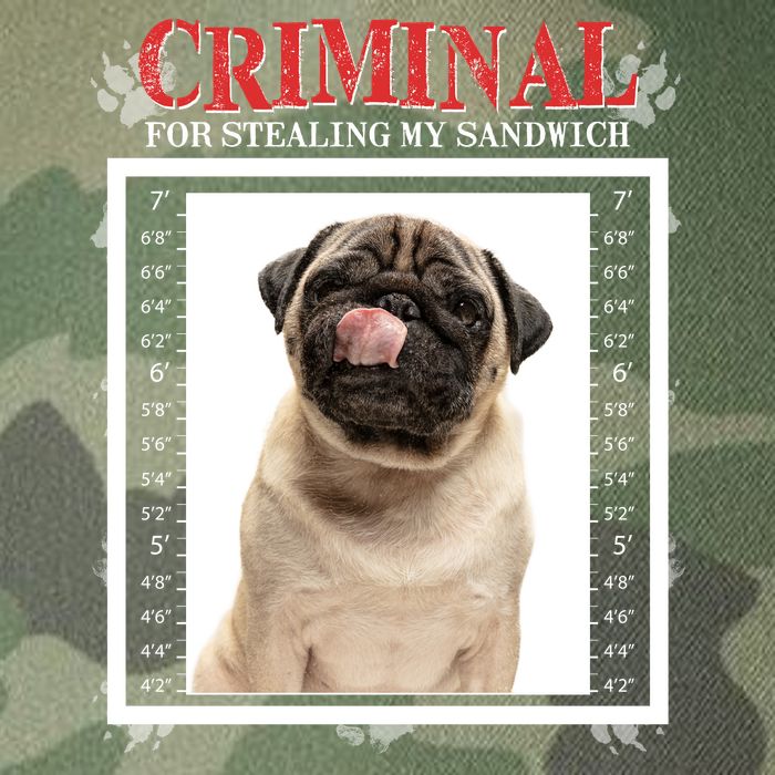 Custom Photo Dog Criminal For Stealing My Sandwich Legacy Tie Dye Trucker Hat