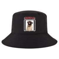 Custom Photo Dog Criminal For Stealing My Sandwich Cool Comfort Performance Bucket Hat