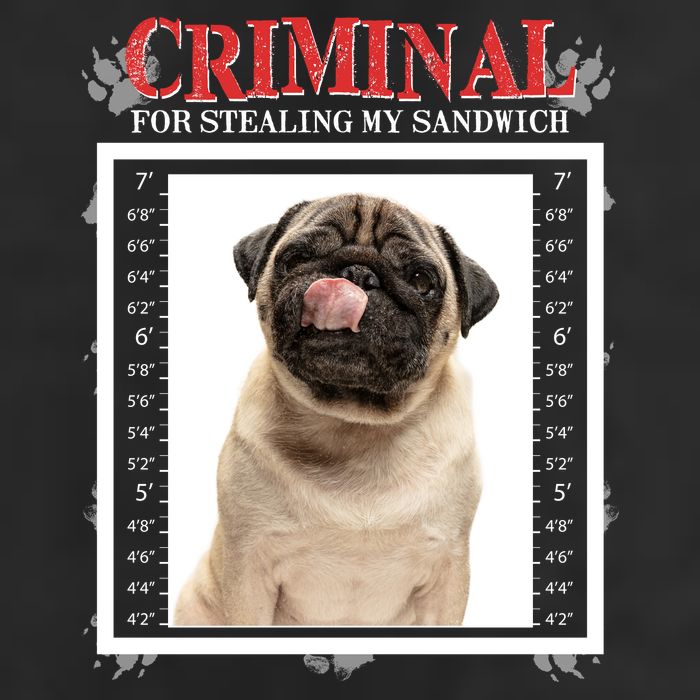 Custom Photo Dog Criminal For Stealing My Sandwich Cool Comfort Performance Bucket Hat