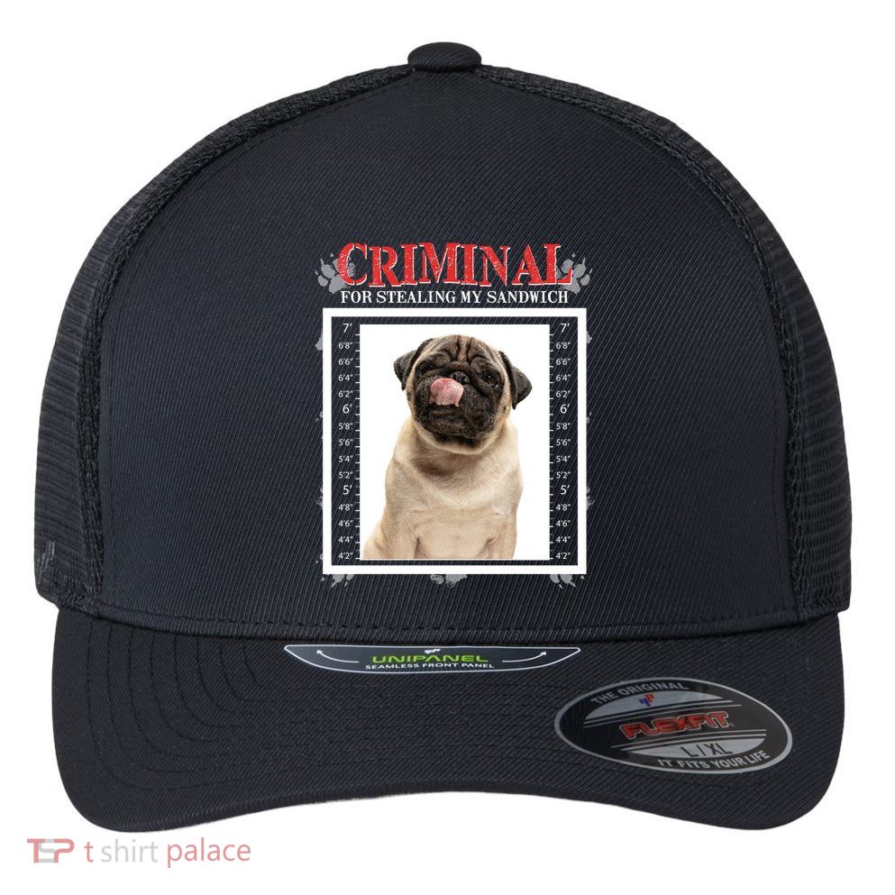 Custom Photo Dog Criminal For Stealing My Sandwich Flexfit Unipanel Trucker Cap