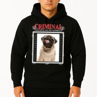 Custom Photo Dog Criminal For Stealing My Sandwich Hoodie