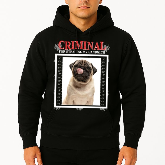 Custom Photo Dog Criminal For Stealing My Sandwich Hoodie