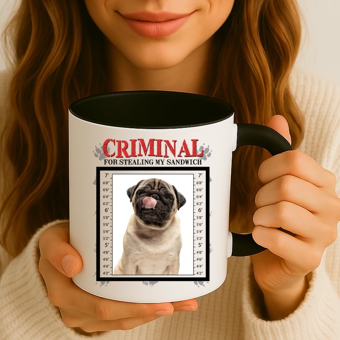 Custom Photo Dog Criminal For Stealing My Sandwich Mug