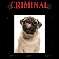 Custom Photo Dog Criminal For Stealing My Sandwich Mug