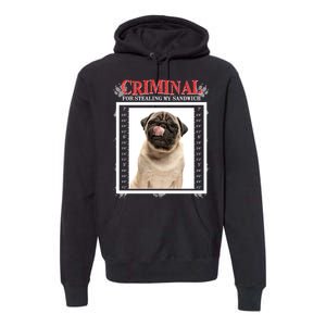 Custom Photo Dog Criminal For Stealing My Sandwich Premium Hoodie