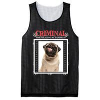 Custom Photo Dog Criminal For Stealing My Sandwich Mesh Reversible Basketball Jersey Tank