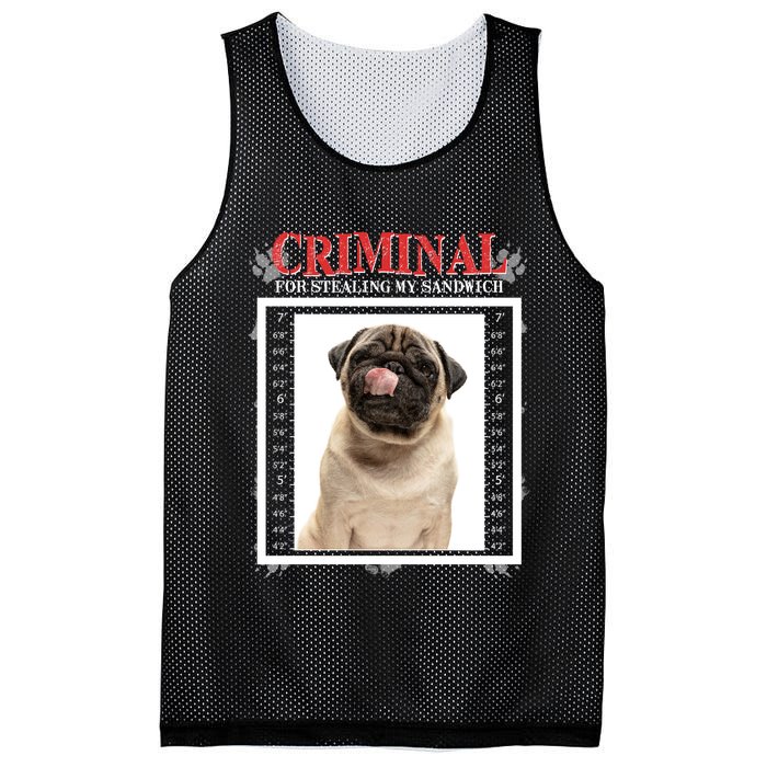 Custom Photo Dog Criminal For Stealing My Sandwich Mesh Reversible Basketball Jersey Tank