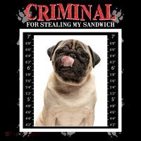 Custom Photo Dog Criminal For Stealing My Sandwich Poster
