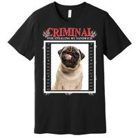 Custom Photo Dog Criminal For Stealing My Sandwich Premium T-Shirt