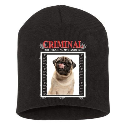 Custom Photo Dog Criminal For Stealing My Sandwich Short Acrylic Beanie