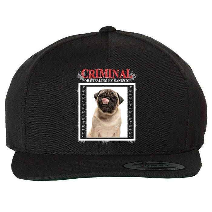 Custom Photo Dog Criminal For Stealing My Sandwich Wool Snapback Cap