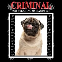 Custom Photo Dog Criminal For Stealing My Sandwich Wool Snapback Cap