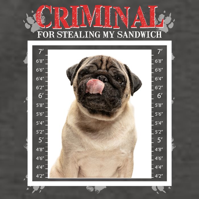 Custom Photo Dog Criminal For Stealing My Sandwich Vector Backpack