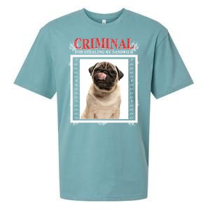 Custom Photo Dog Criminal For Stealing My Sandwich Sueded Cloud Jersey T-Shirt