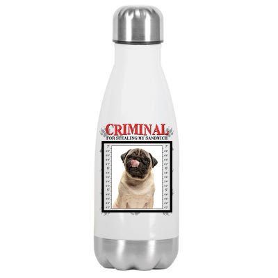 Custom Photo Dog Criminal For Stealing My Sandwich Stainless Steel Insulated Water Bottle