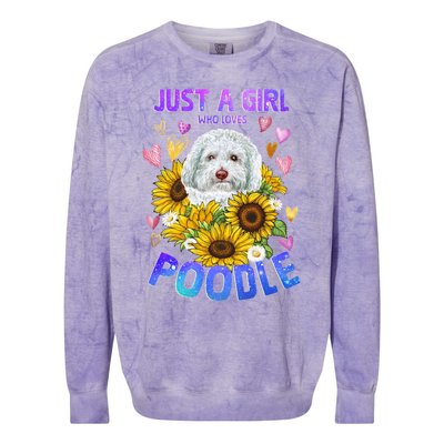 Cute Poodle Dog Loving Puppy Lover Cute Gift Colorblast Crewneck Sweatshirt