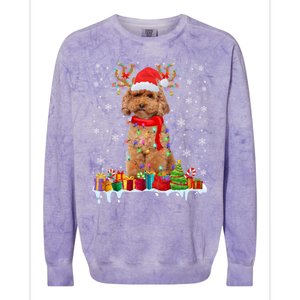 Cute Poodle Dog Christmas Lights Funny Xmas Santa Hat Great Gift Colorblast Crewneck Sweatshirt