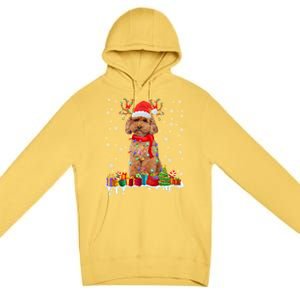 Cute Poodle Dog Christmas Lights Funny Xmas Santa Hat Great Gift Premium Pullover Hoodie