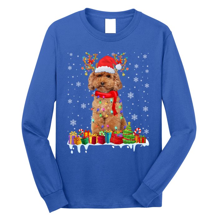 Cute Poodle Dog Christmas Lights Funny Xmas Santa Hat Great Gift Long Sleeve Shirt