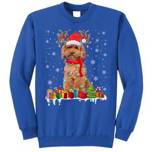 Cute Poodle Dog Christmas Lights Funny Xmas Santa Hat Great Gift Sweatshirt