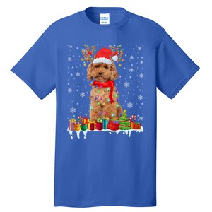 Cute Poodle Dog Christmas Lights Funny Xmas Santa Hat Great Gift Tall T-Shirt