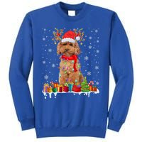 Cute Poodle Dog Christmas Lights Funny Xmas Santa Hat Great Gift Tall Sweatshirt