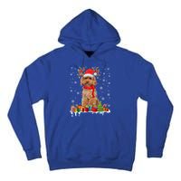 Cute Poodle Dog Christmas Lights Funny Xmas Santa Hat Great Gift Tall Hoodie