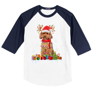 Cute Poodle Dog Christmas Lights Funny Xmas Santa Hat Great Gift Baseball Sleeve Shirt