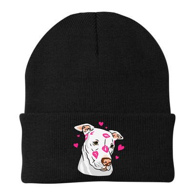 Cute Pitbull Dog Love And Hearts Funny I Love PitBull Dogs Beanie