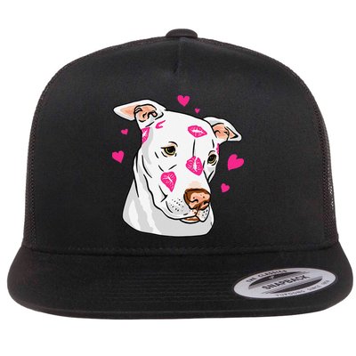 Cute Pitbull Dog Love And Hearts Funny I Love PitBull Dogs Flatbill Hat