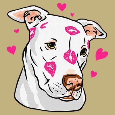 Cute Pitbull Dog Love And Hearts Funny I Love PitBull Dogs T-Shirt