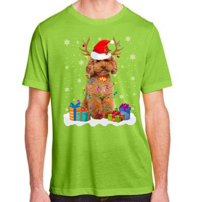 Cute Poodle Dog Christmas Lights Santa Hat Xmas Holidays Gift Adult ChromaSoft Performance T-Shirt