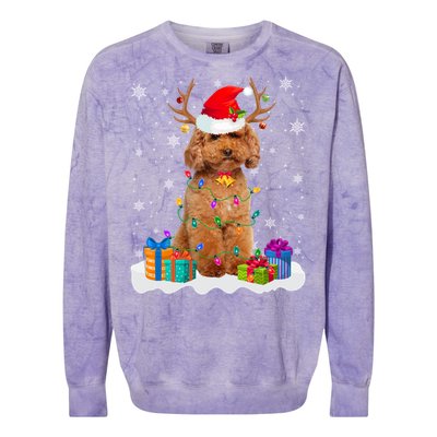 Cute Poodle Dog Christmas Lights Santa Hat Xmas Holidays Gift Colorblast Crewneck Sweatshirt