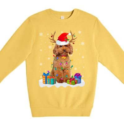 Cute Poodle Dog Christmas Lights Santa Hat Xmas Holidays Gift Premium Crewneck Sweatshirt